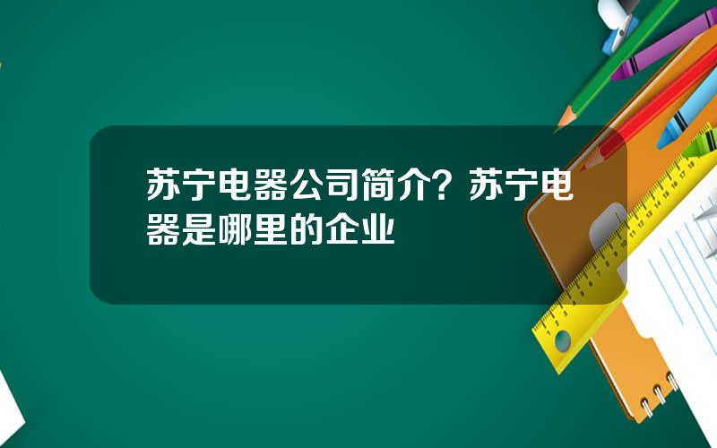 苏宁电器公司简介？苏宁电器是哪里的企业