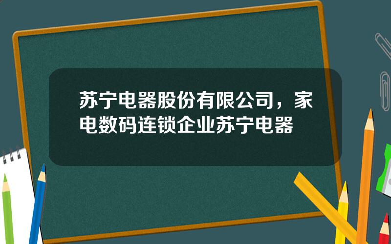 苏宁电器股份有限公司，家电数码连锁企业苏宁电器