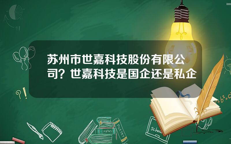 苏州市世嘉科技股份有限公司？世嘉科技是国企还是私企