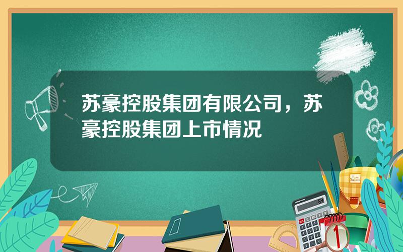 苏豪控股集团有限公司，苏豪控股集团上市情况