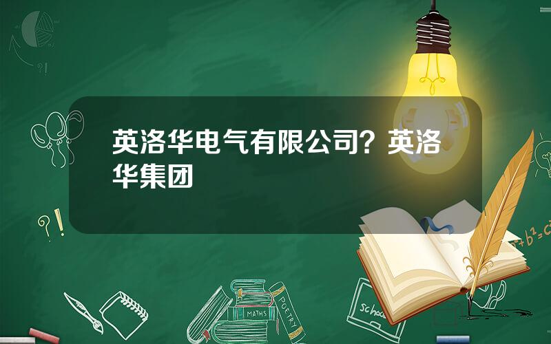 英洛华电气有限公司？英洛华集团