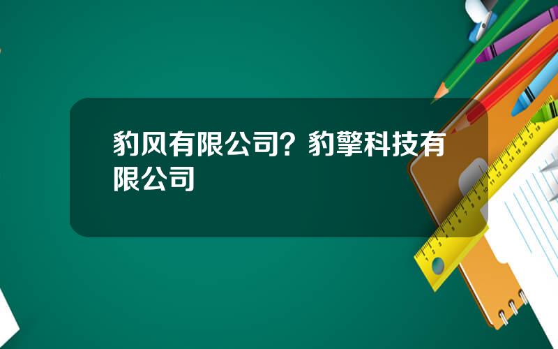 豹风有限公司？豹擎科技有限公司