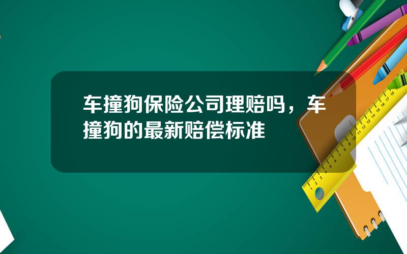 车撞狗保险公司理赔吗，车撞狗的最新赔偿标准