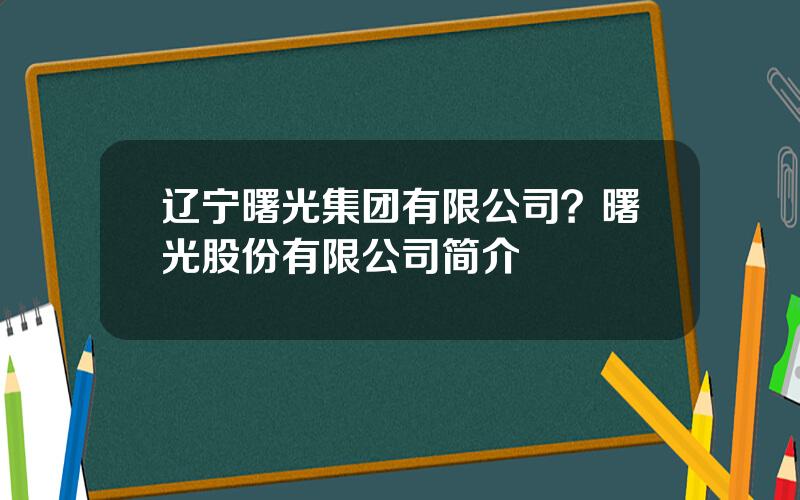 辽宁曙光集团有限公司？曙光股份有限公司简介