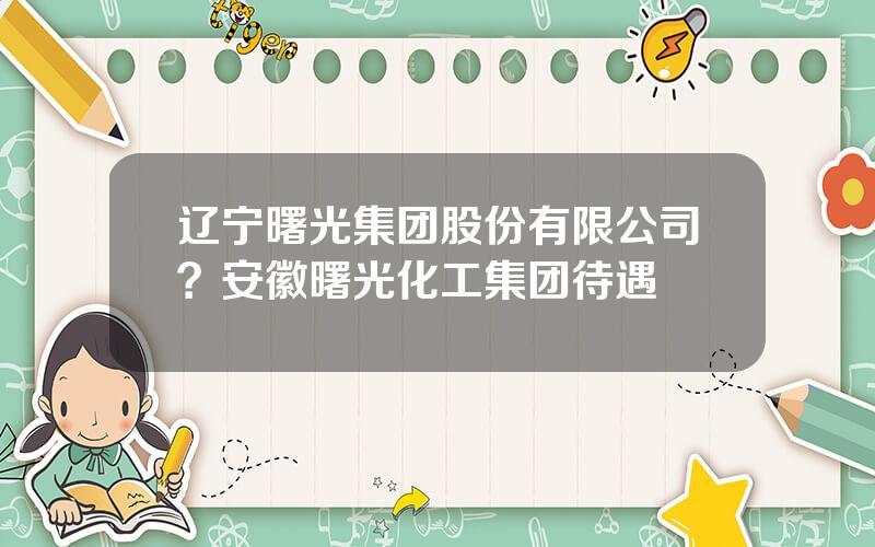 辽宁曙光集团股份有限公司？安徽曙光化工集团待遇