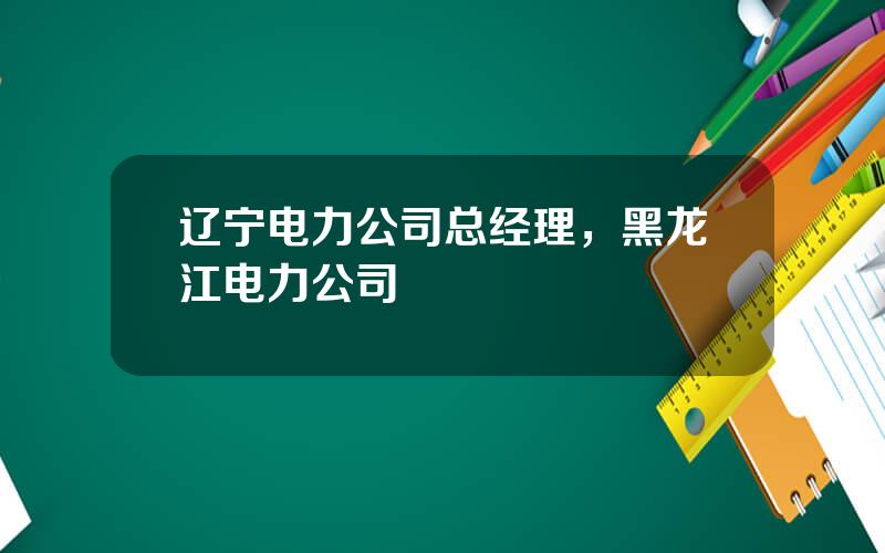 辽宁电力公司总经理，黑龙江电力公司