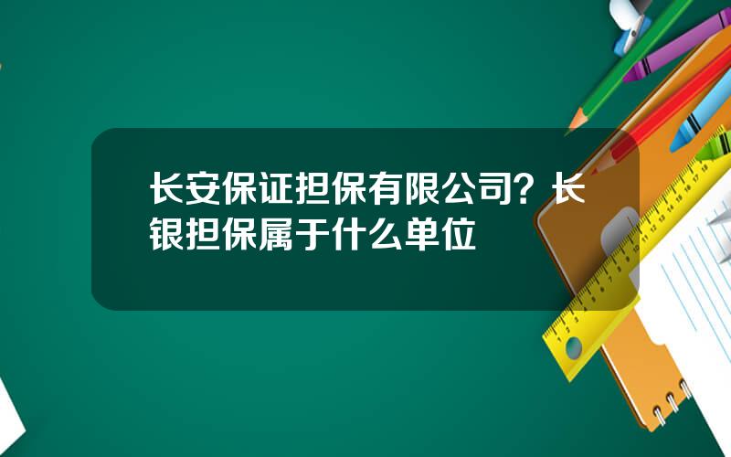 长安保证担保有限公司？长银担保属于什么单位